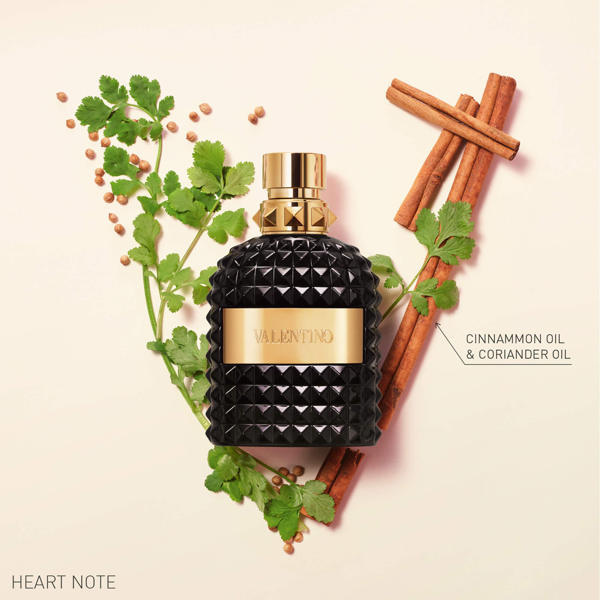 Valentino uomo online noir absolu discontinued